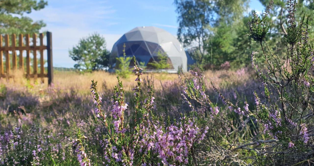 Podniebny Glamping Hotell Borsk Eksteriør bilde